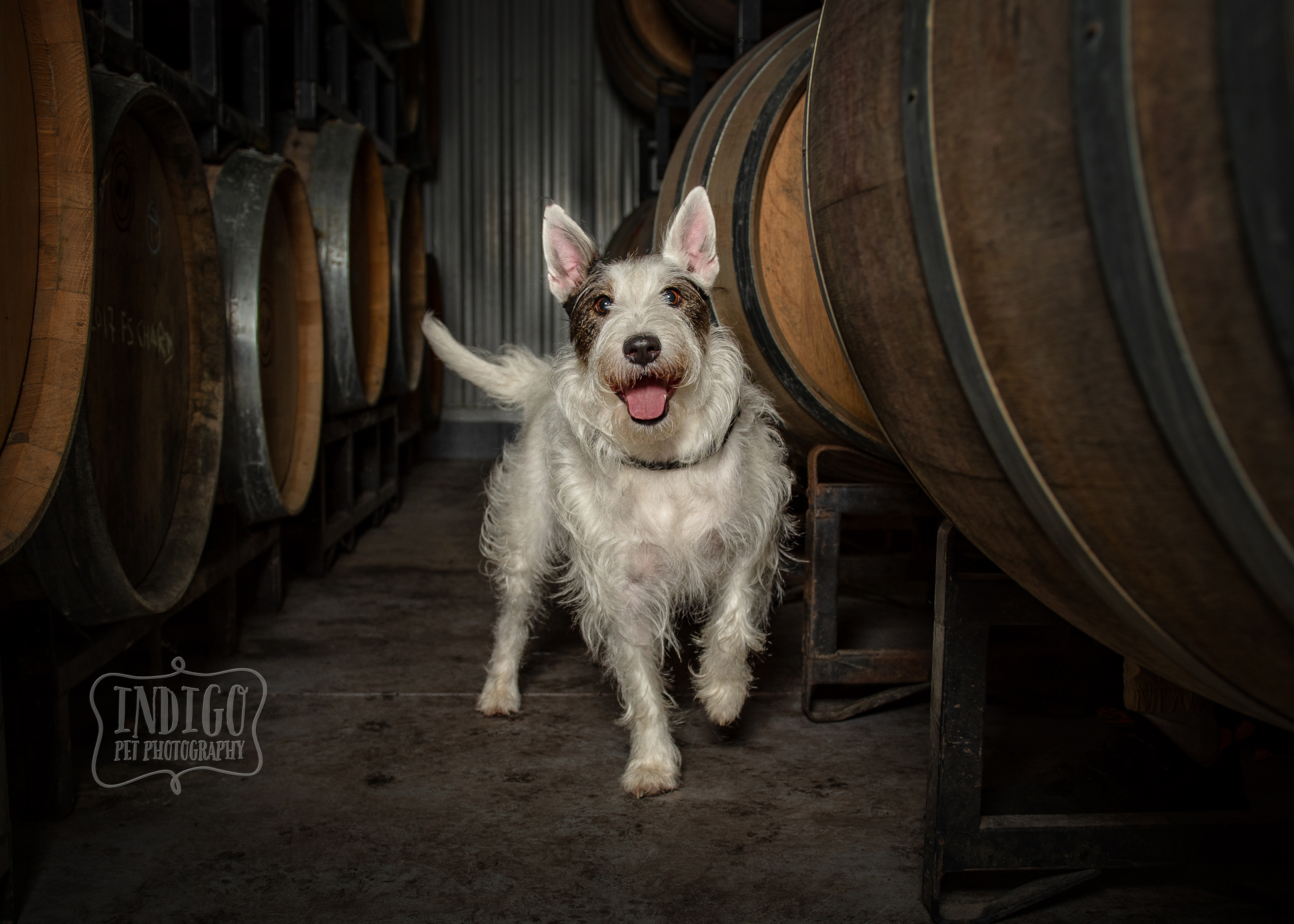 "Embark