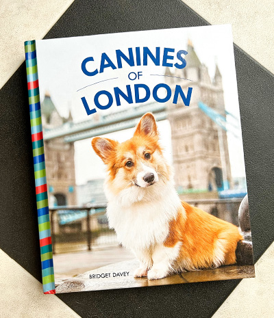 "Canines
