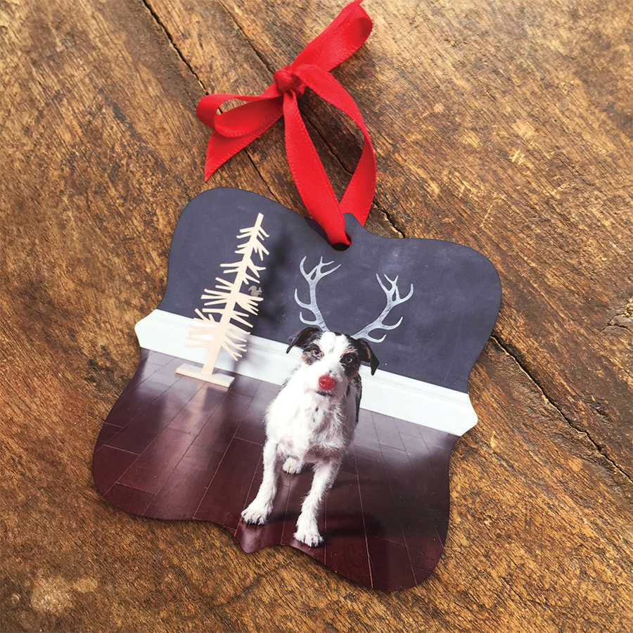 Keepsake metal ornament featuring your dog