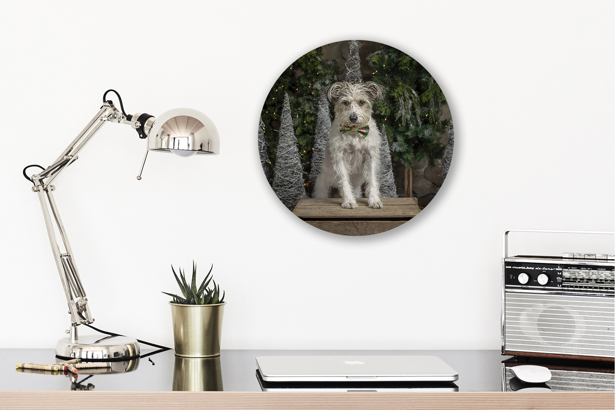 sample of round metal print for niagara christmas dog photo sessions
