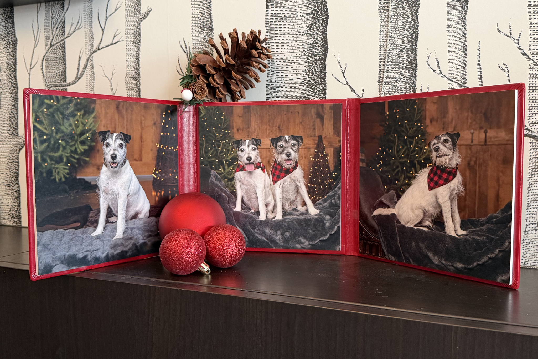 example of a triplex product niagara holiday dog sessions